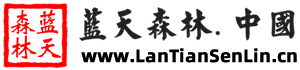 蓝天森林.中国-梭梭